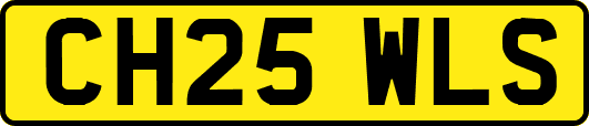 CH25WLS