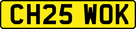 CH25WOK