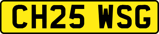 CH25WSG