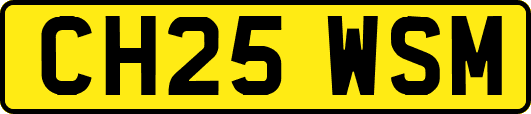 CH25WSM