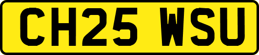 CH25WSU