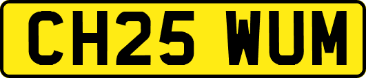 CH25WUM