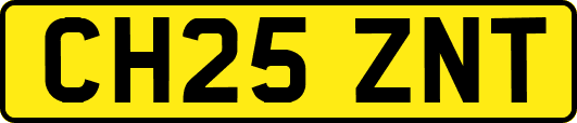 CH25ZNT