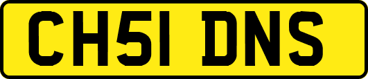 CH51DNS