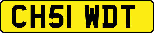 CH51WDT