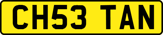 CH53TAN