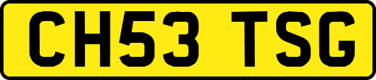 CH53TSG