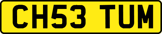 CH53TUM