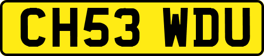 CH53WDU