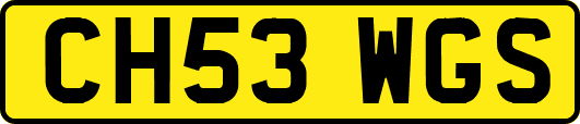 CH53WGS