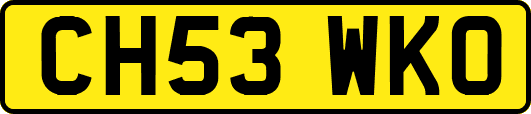 CH53WKO