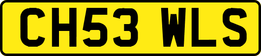 CH53WLS