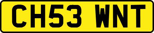 CH53WNT