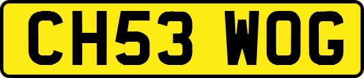 CH53WOG
