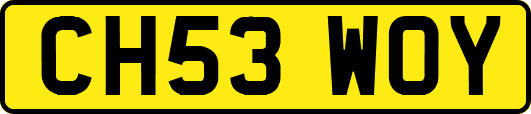 CH53WOY