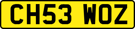 CH53WOZ