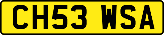 CH53WSA