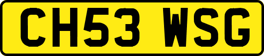 CH53WSG