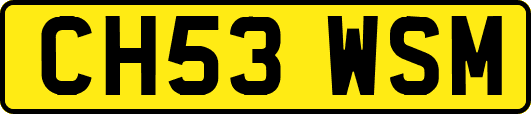 CH53WSM