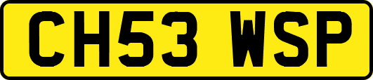 CH53WSP