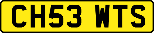 CH53WTS