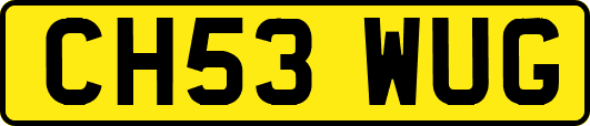 CH53WUG