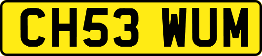 CH53WUM