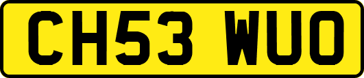 CH53WUO
