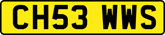 CH53WWS