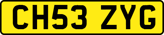 CH53ZYG