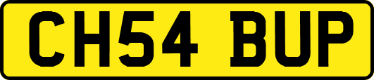 CH54BUP