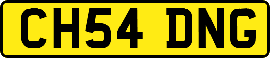 CH54DNG
