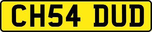 CH54DUD