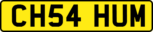 CH54HUM