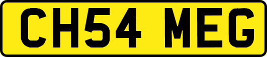 CH54MEG