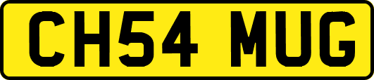 CH54MUG