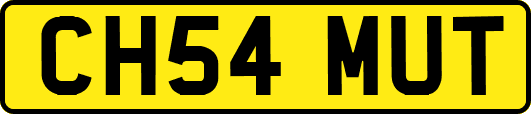 CH54MUT