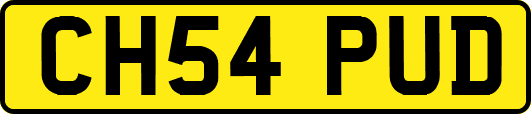 CH54PUD