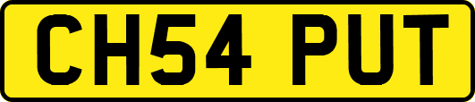 CH54PUT
