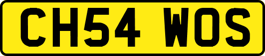 CH54WOS