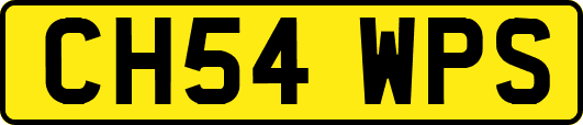 CH54WPS
