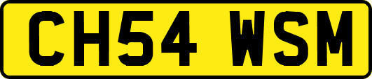 CH54WSM