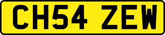 CH54ZEW