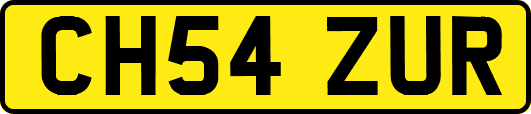CH54ZUR
