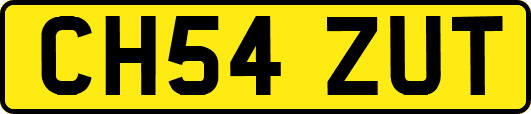 CH54ZUT