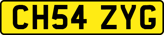 CH54ZYG