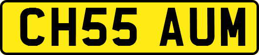 CH55AUM