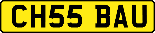 CH55BAU