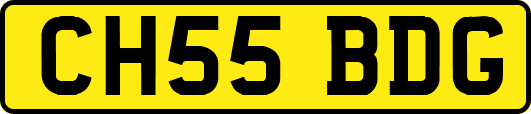 CH55BDG