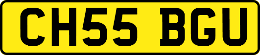 CH55BGU